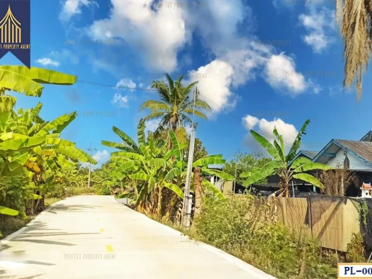 ที่ดินสวนผลไม้ ถนนเลียบคลองสาม ด้านหน้าติดถนนคอนกรีต หนองเพรางาย ไทรน้อย นนทบุรี