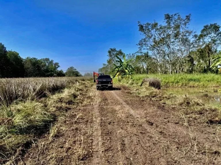 ขายที่ดินยกแปลง พื้นที่สีชมพูสวย ทำเลดี คลอง 8 หนองเสือ ปทุมธานี