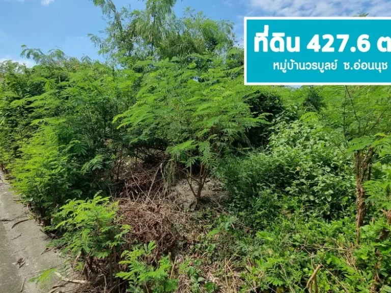 ขายที่ดิน 4276 ตรว มวรบูลย์ อ่่อนนุช44 สุขุมวิท 77 แปลงสวย ถมแล้ว