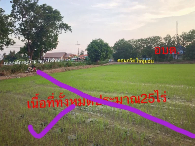 ขายที่ดิน ที่ติดถนน ติดกับ อบตสระแจง อบางระจัน จสิงห์บุรี