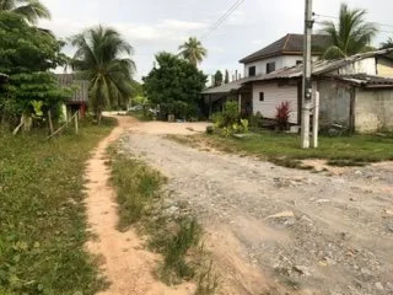 ที่ดินในเขตชุมชนบ้านทุ่งหยีเพ็ง บนเกาะลันตาเหมาะสำหรับสร้างที่พักอาศัย