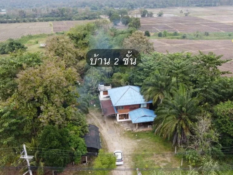 ที่ดิน 1-3-84 ไร่ หน้าติดถนนสันกำแพงสายเก่า หลังวิวดอยติดลำเหมือง