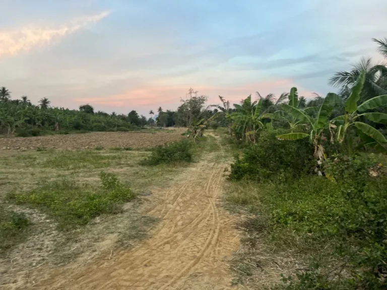 ขายที่ดินสวนด้านหน้าติดถนนคอนกรีตด้านข้างติดแม่น้ำกุยบุรี