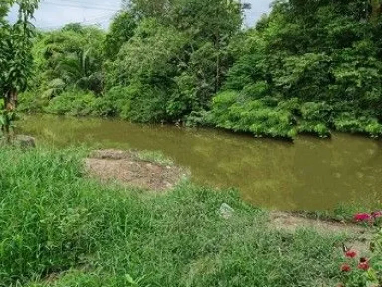 ขายอาคาร 20 ห้อง พร้อมที่ดินเปล่า อำเภอลาดหลุมแก้ว ปทุมธานี