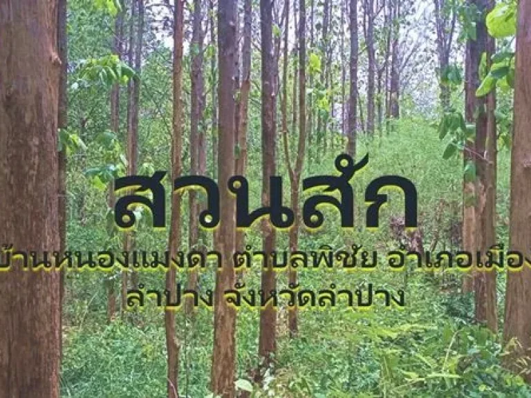 ขายที่ดินแปลงใหญ่มีโฉนดใน อเมืองลำปาง พร้อมต้นสัก ลงทะเบียนสวนป่าแล้ว