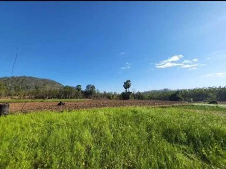 ขายที่ดิน เกาะคา ลำปาง ติดริมน้ำแม่ต๋ำ โครงการอ่างเก็บน้ำ ศูนย์ศิลปาชีพ ทำเลดี วิวสวย เหมาะแก่การทำรีสอร์ต