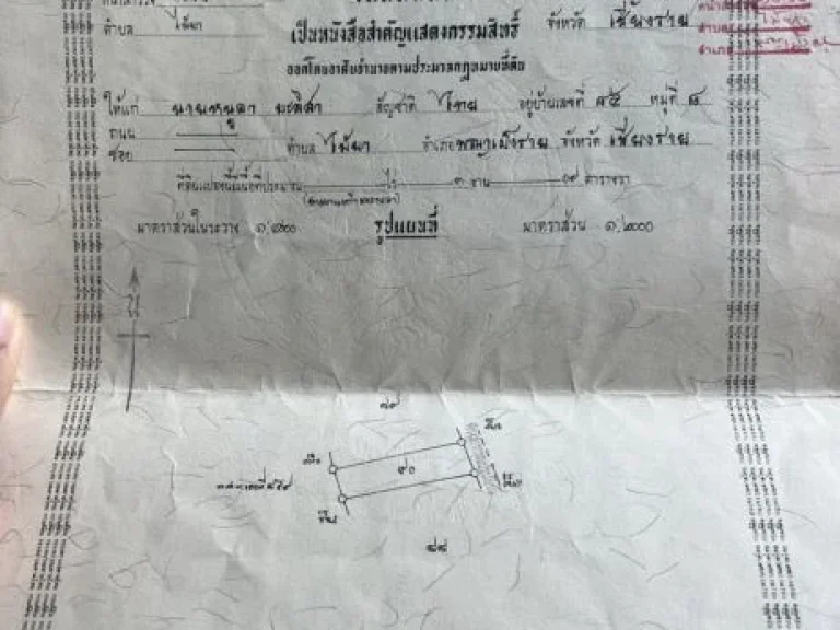 ขายที่ดิน เนื้อที่ 309 ตารางวาพร้อมบ้านปูน1หลัง อพญาเม็งราย จเชียงราย