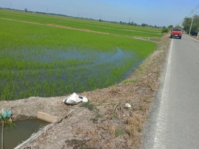 ขายด่วน ที่ดิน 100-1-66 ไร่ ติดถนนเลียบคลองสิบสี่ฝั่งตะวันตก ซอยยังพัธนา หนองจอก