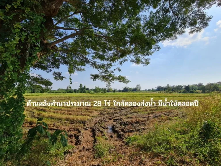 ที่ดินแปลงใหญ่ 52 ไร่ ติดถนนสายเอเชีย หน้ากว้าง 128 เมตร ลึก 695 เมตร ใกล้ 3 แยกแม่สอด อวังเจ้า จตาก ราคาไร่ละ 1500000 บาท ยกแปลง 79 ล้านบาท