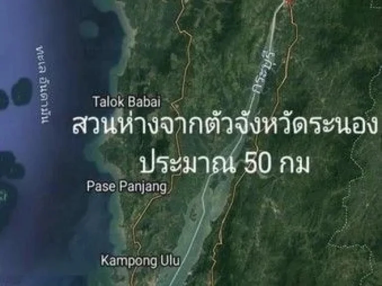 ขายถูกที่ดินเปล่า พร้อมสวนปาล์มน้ำมัน 4750 ต้น อายุปาล์ม 16-17ปี ขนาด 240-2-31 ไร่ แปลงที่ดินสวย