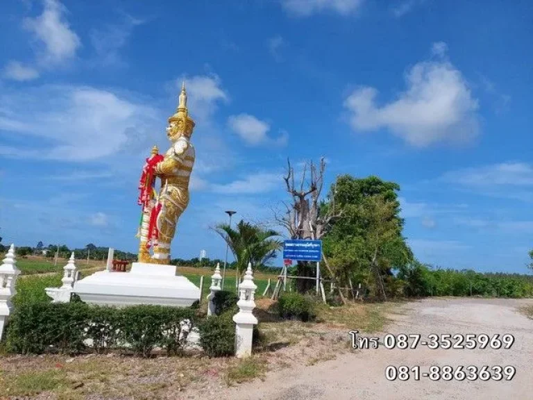 ขายที่ดินแปลงสวย ทำเลดี ในเมืองระยอง ซร่วมใจพัฒนา5 เดินทางสะดวก ไม่ไกลจากถนนสุขุมวิท ใกล้แหล่งชุมชน