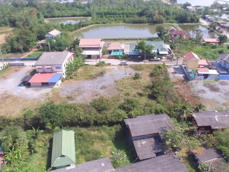 ขาย ที่ดิน 1 ไร่ บางโทรัด สมุทรสาคร ซอยวัดเกตุม ถมแล้ว ติดถนนลาดยาง น้ำไฟพร้อม ใกล้ถนนพระราม2