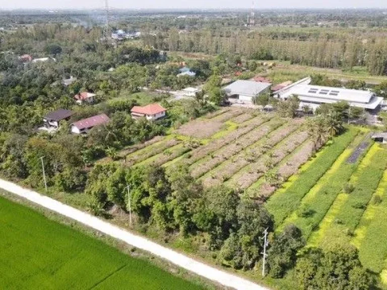 สุดคุ้มที่ดินเพื่อการลงทุน คลอง10 หนองเสือ ปทุมธานี