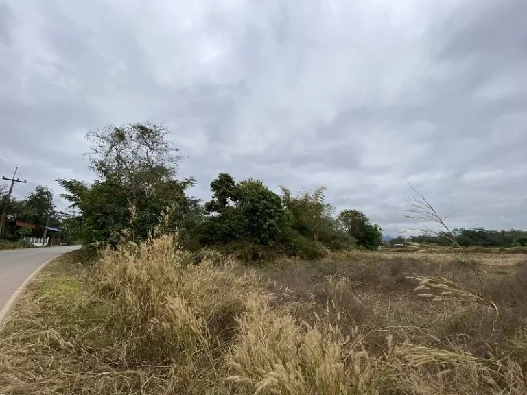 ที่ดินบ้านกำเนิดเพชร อเมือง จเลย วิวสวย อยู่ใกล้แหล่งชุมชน มราชภัฏเลย