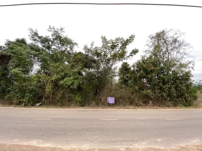 ที่ดินบ้านกำเนิดเพชร อเมือง จเลย วิวสวย อยู่ใกล้แหล่งชุมชน มราชภัฏเลย