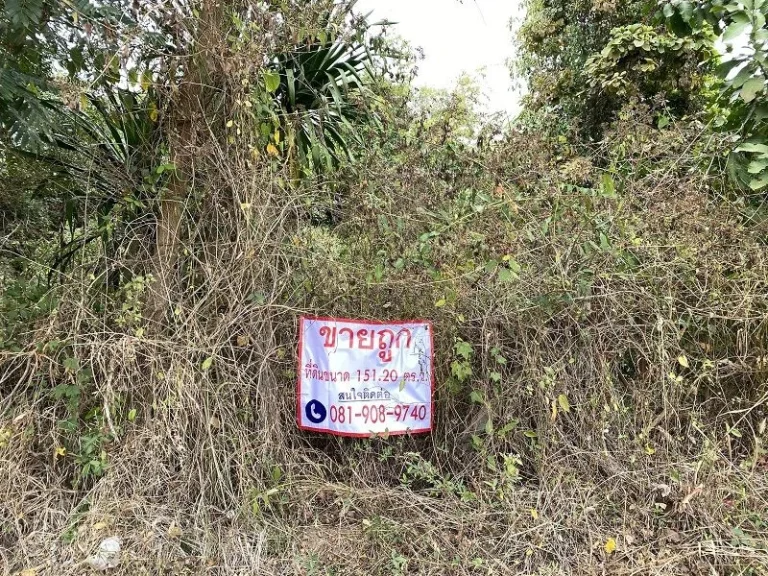 ที่ดินบ้านกำเนิดเพชร อเมือง จเลย วิวสวย อยู่ใกล้แหล่งชุมชน มราชภัฏเลย