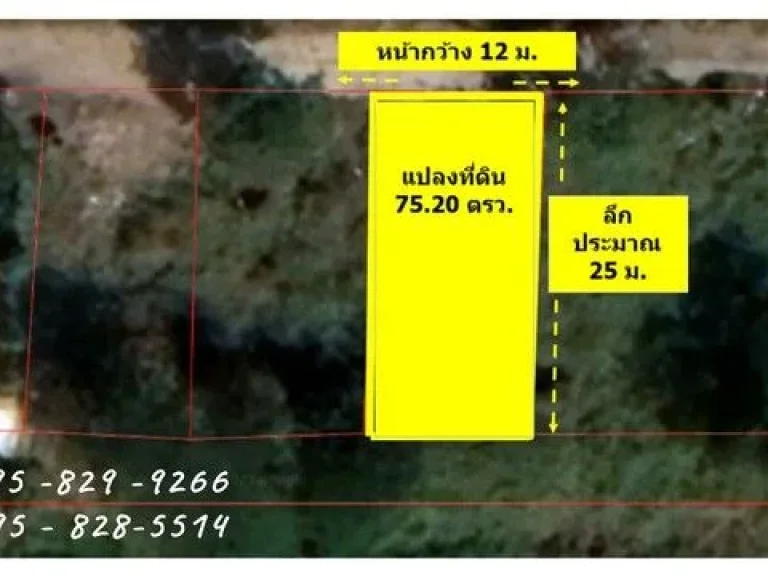 ขายที่ดิน 752 ตรว เลียบคลองห้า ตะวันออก เข้าซอยเพียง 135 ม ติดถนนสาธารณะ น้ำไฟฟ้า พร้อม ตคลองห้า อคลองหลวง จปทุมธานี