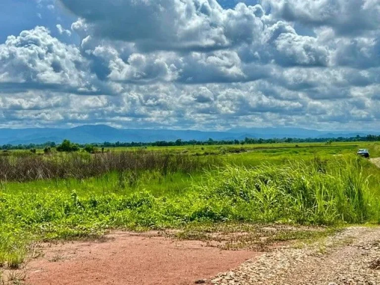 ที่ดินเงินสด แปลงถนนโยธาธิการ ตบ้านพริก อบ้านนา นครนายก 100 ตรว