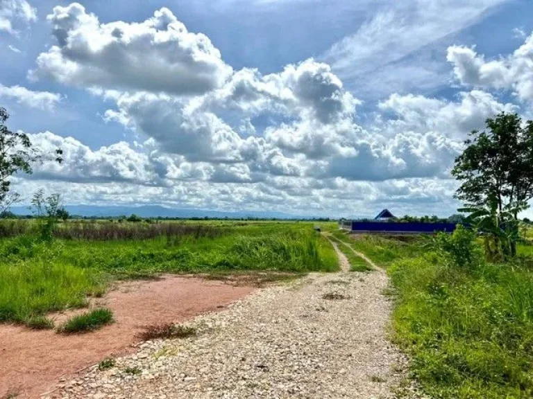 ที่ดินเงินสด แปลงถนนโยธาธิการ ตบ้านพริก อบ้านนา นครนายก 100 ตรว