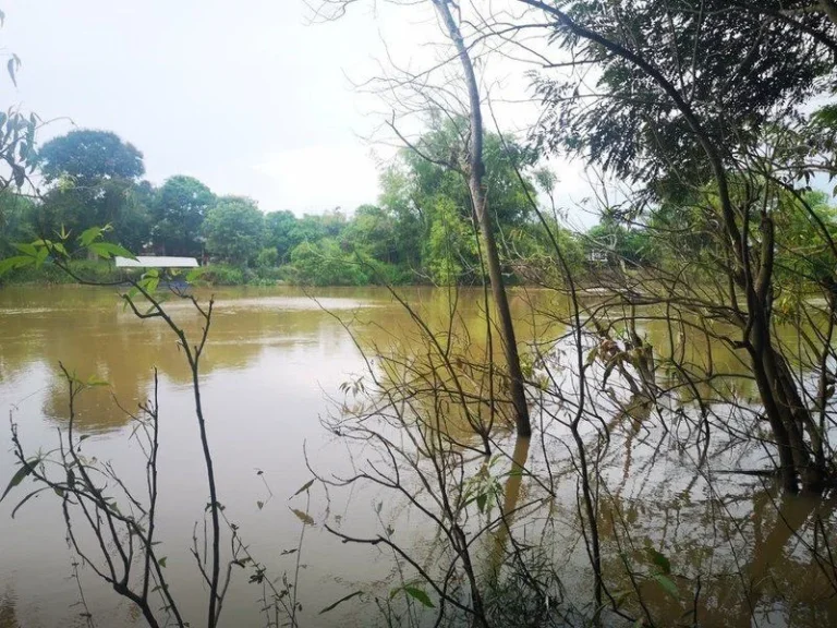 ขายที่ดินเปล่าปราจีนบุรี ติดแม่น้ำบางปะกง ใกล้ตัวเมืองปราจีน