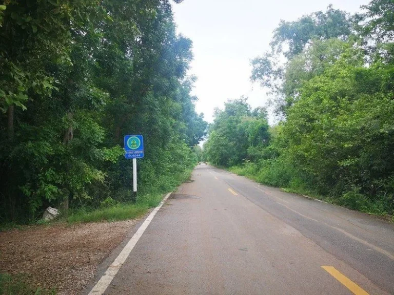 ขายที่ดินเปล่าปราจีนบุรี ติดแม่น้ำบางปะกง ใกล้ตัวเมืองปราจีน