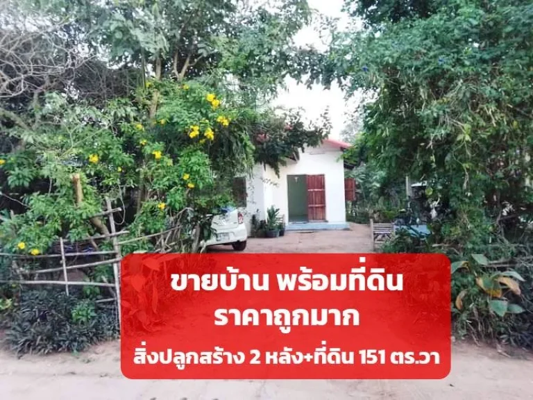 ขายบ้าน 2 หลัง พร้อมที่ดิน บ้านหนองสอ ตลำปาว อเมือง ใกล้เซเว่น โรงเรียน ไฟน้ำครบ