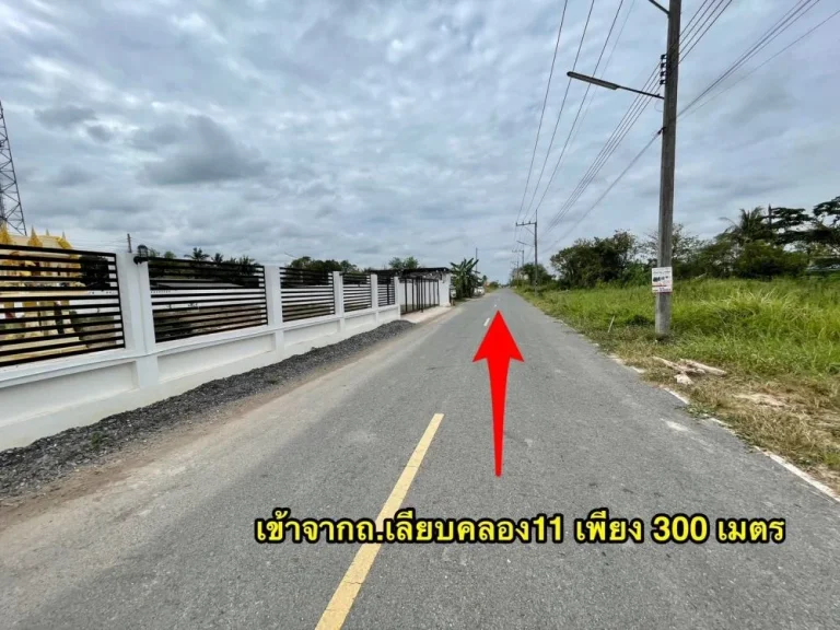 ขายที่ดินสวยถมแล้ว 100 ตรวา วิวทุ่งนา ใกล้วัดป่าคลอง11 หนองเสือ ปทุมธานี