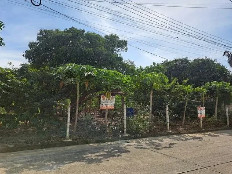 ขายที่ดินหมู่บ้านสาวิตรี ถนนพุทธมณฑลสาย3 บรมราชชนนี เขตทวีวัฒนา กรุงเทพมหานคร