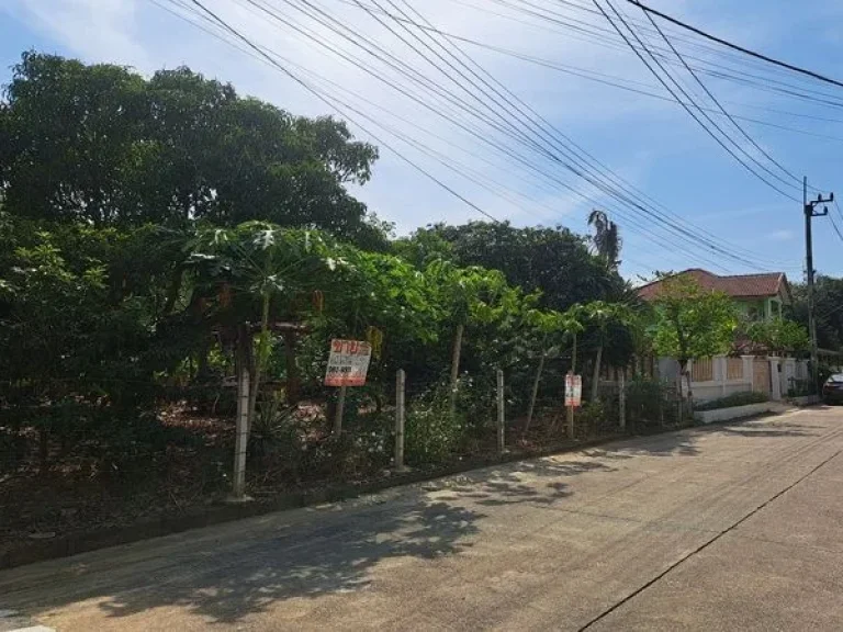 ขายที่ดินหมู่บ้านสาวิตรี ถนนพุทธมณฑลสาย3 บรมราชชนนี เขตทวีวัฒนา กรุงเทพมหานคร