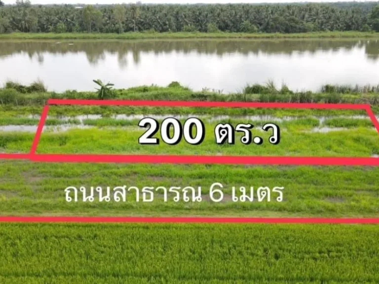 ขายที่ดินคลอง 8 ครุฑแดง พร้อมโอน200 ตารางวา บึงบอน หนองเสือ ปทุมธานี