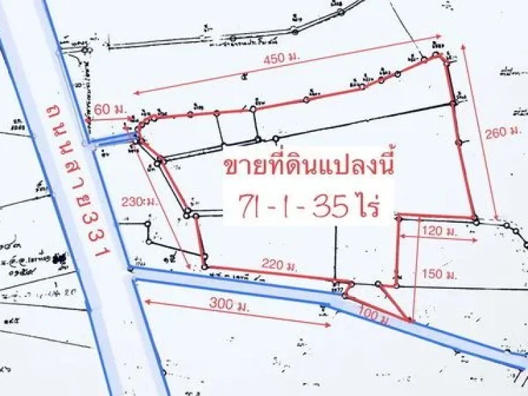 ชายที่ดิน ใกล้ถนน 331 รวม 71 ไร่ กว่าๆ ราคาดีๆ ที่สวย