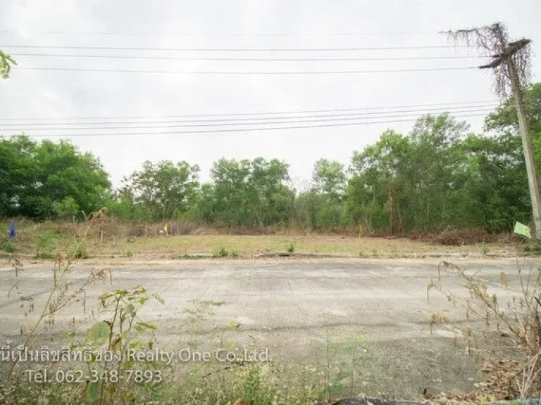 ขาย ที่ดิน ถมแล้ว ติดถนนคอนกรีต คลองสิบ หนองเสือ ปทุมธานี