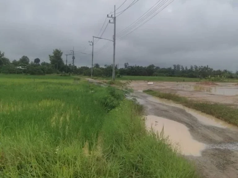 ขายที่นาวิวท้องนาบ้านขุนคงหางดงเกร็งกำไรโฉนดพร้อมโอนราคาถูก