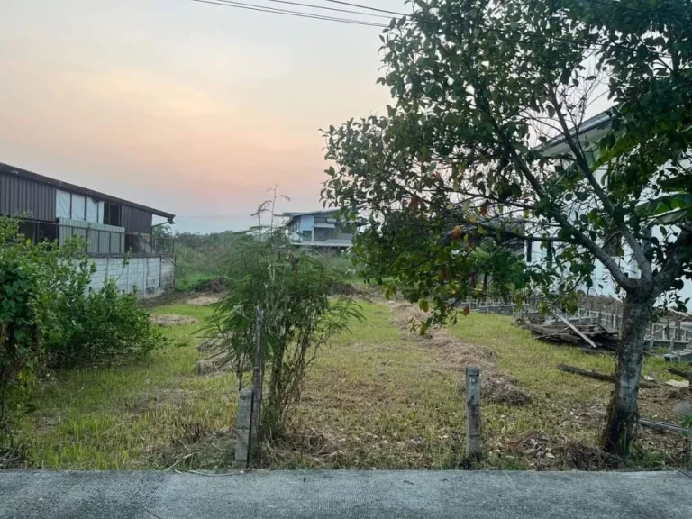 ขายที่ดินดอยสะเก็ตห่างถนนหลักเพียง 500 เมตรโฉนดพร้อมโอน