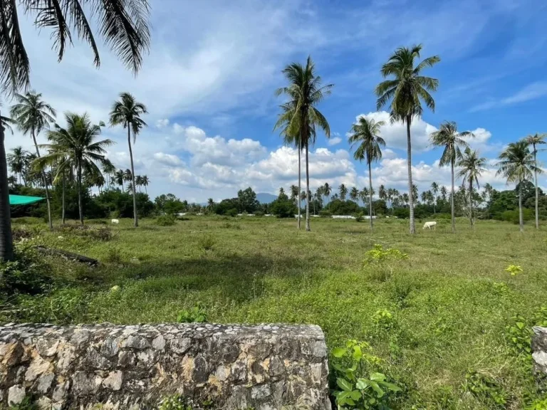 ขายที่ดินพร้อมสิ่งปลูกสร้าง วิลล่า เนอร์วาน่า ประจวบคีริขันธ์ Villa Nirwana Prachuap Khiri Khan 22ไร่ 85 ล้าน