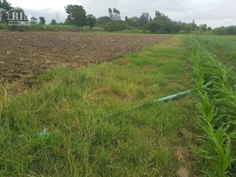 ขายที่ดินสวยติดถนน ใกล้วัดประชาราษฎร์บำรุง วัดรางหมัน