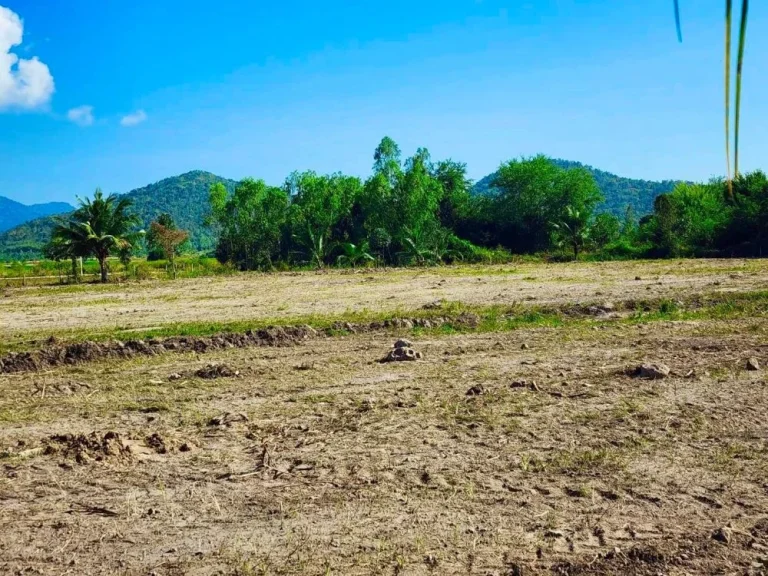 ขายที่ดิน วิวเขาลูกใหญ่ ติดถนนลาดยาง ชะอำ เพชรบุรี