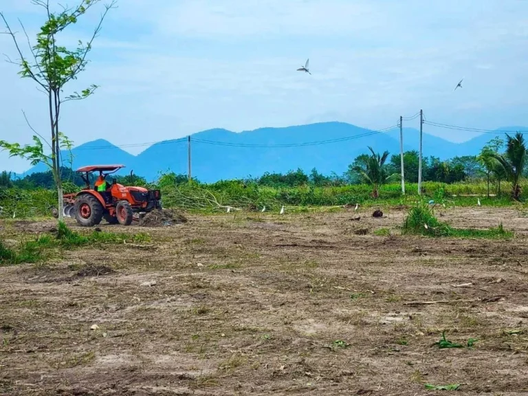 ขายที่ดิน วิวเขาลูกใหญ่ ติดถนนลาดยาง ชะอำ เพชรบุรี