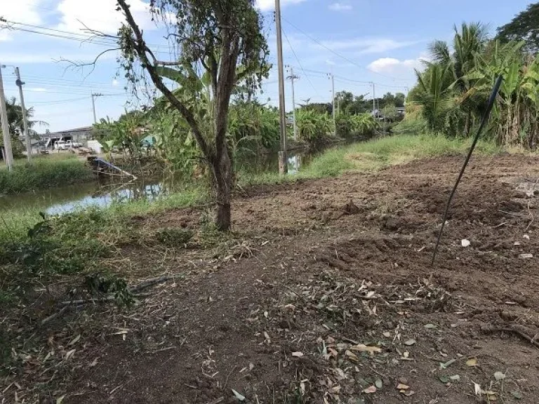 ที่ดินให้เช่าประกอบกิจการพักอาศัย ใกล้โรงพยาบาลคลองสามวา-สำนักจุฬาราชมนตี ถนนคลองเก้า ราคา5000บพื้นที่100ตรวเช่าเพิ่มได้ถึง1ไร่