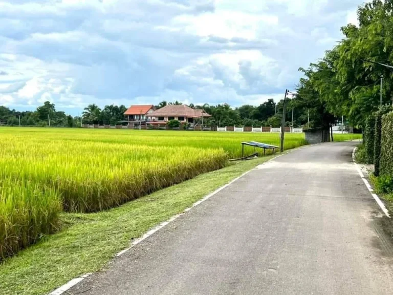 ขายที่ดินทำเลดี ย่านชุมชน ขนาด 1 ไร่ น้ำไฟฟ้า ถนนลาดยาง หน้าโครงการ ป่าซาง ลำพูน