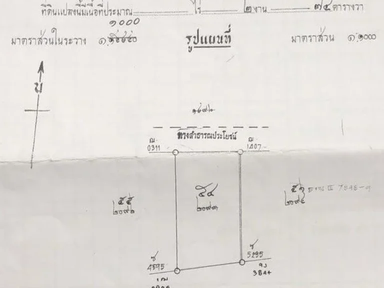 ที่ดินคลองสอง ที่ดินซอยบงกช ที่ดินคลองหลวง ถมแล้ว 274 วา รังสิตนครนายกซอย31