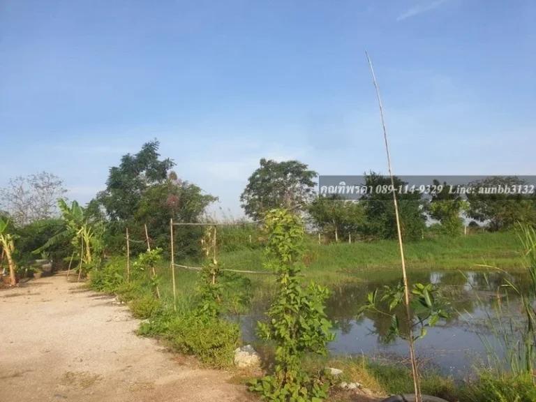 ขายที่ดินสวย ในราคาพิเศษ ถนนสุขุมวิทสายเก่า คลองด่าน บางบ่อ สมุทรปราการ เนื้อที่ 222 ตารางวา