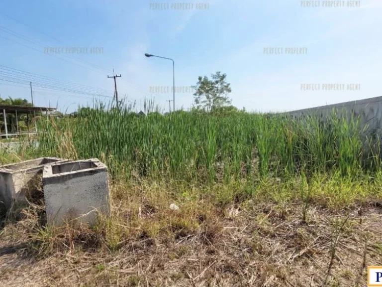 ที่ดิน ถมแล้ว มีใบอนุญาต ลำลูกกาคลอง 14 ปทุมธานี ติดถนน ทำเลดี