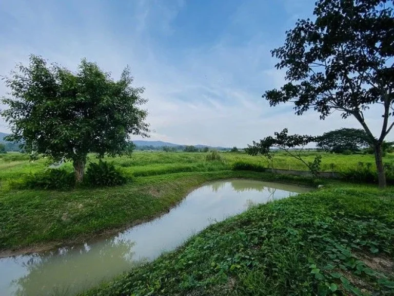 ขายที่ดินติดถนนสาธารณะ วิวภูเขาล้อมรอบเหมาะทำบ้านสวน บ้านพักส่วนตัว ธรรมชาติ โซนแม่แฝก สันทราย