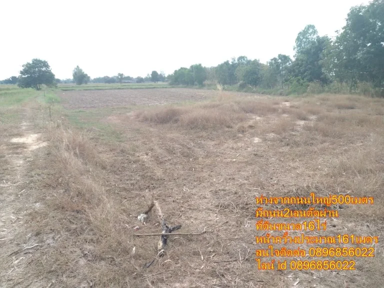 ขายที่ดินอำเภอเมืองจังหวัดร้อยเอ็ดใกล้โรบินสันร้อยเอ็ด