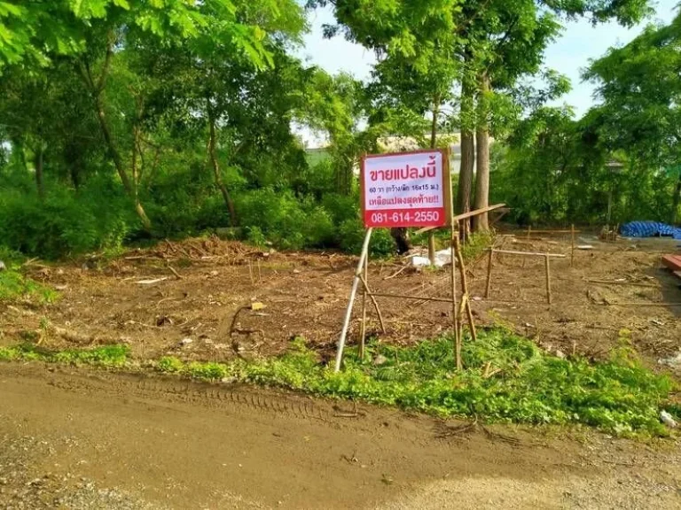 ขายที่ดิน ถมแล้ว คลอง 4 คลองหลวง ใกล้วัดพระธรรมกาย ปทุมธานี