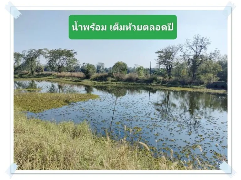 บ้านสวนในฝัน8ไร่เศษ ดินดี น้ำเยอะ พร้อมรายได้ บ้านฝาง เพียง 45แสนต่อไร่