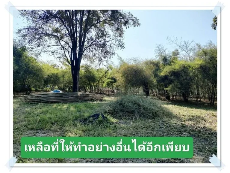 บ้านสวนในฝัน8ไร่เศษ ดินดี น้ำเยอะ พร้อมรายได้ บ้านฝาง เพียง 45แสนต่อไร่