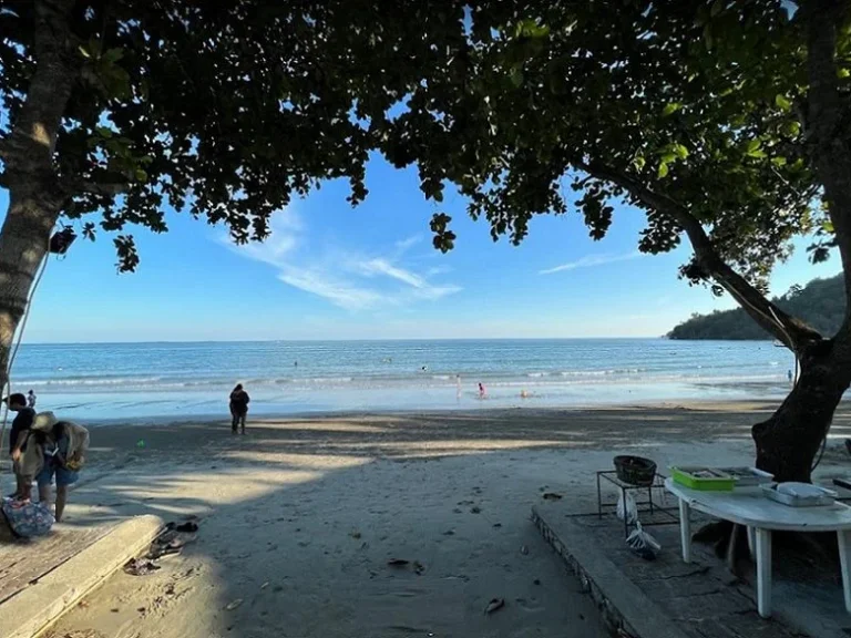 ซากพง แกลง ระยอง หาดแหลมแม่พิมพ์ รีสอร์ทหรู ติดชายหาด 2-3-16 ไร่