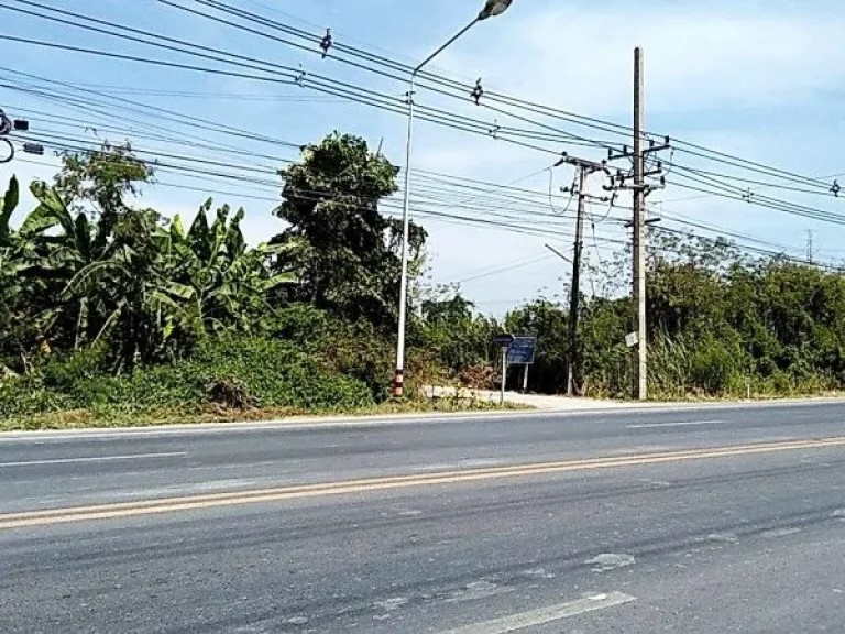 ที่ดิน 1 ไร่ ลำลูกกา ปทุมธานี ใกล้ตลาด 100 ปี คลอง 12